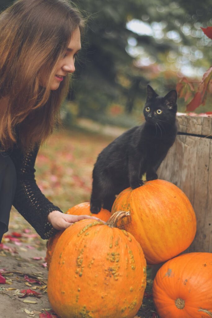 Power-Up Your Day with a Blissful Pumpkin Shake